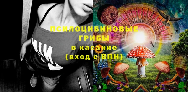 крисы Ладушкин