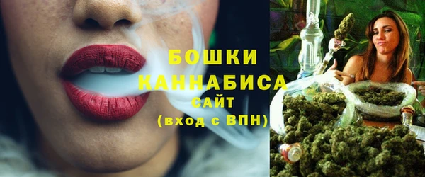 ГАЛЛЮЦИНОГЕННЫЕ ГРИБЫ Арсеньев